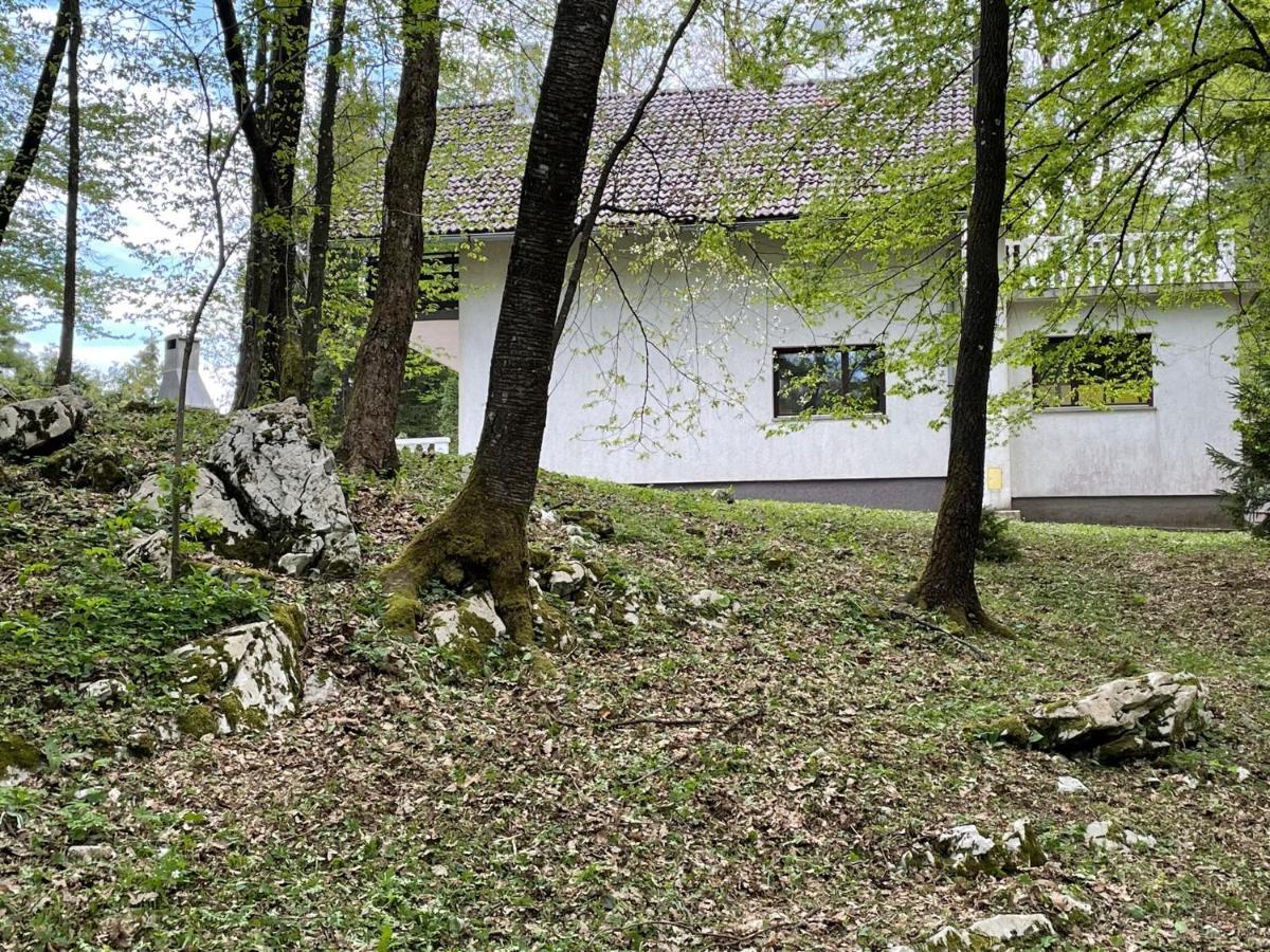 Holiday Home Ivka Ogulin Exterior photo